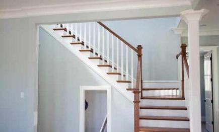 Georgia Environmental Assessment