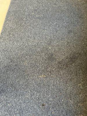 Snelson-Golden Middle School