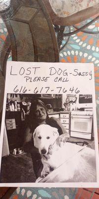 Animal Hospital Of New Port Richey