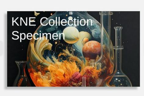 KNE Collection Specimen