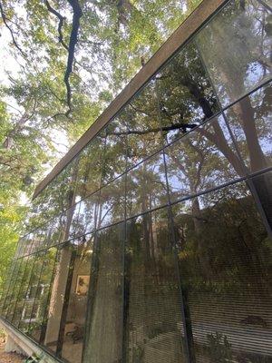 Sunny Shine Cleaning Services