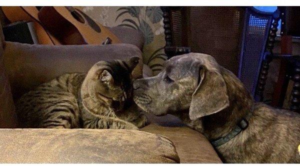 Mr .in the left and Cammile on the right