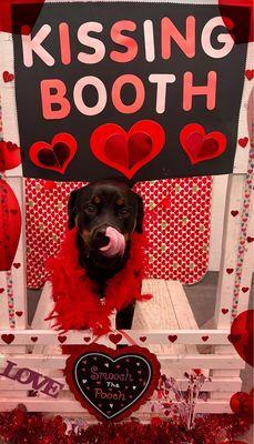 Pet Ponderosa Resorts & Spas