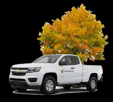 Masterguard Pest Control