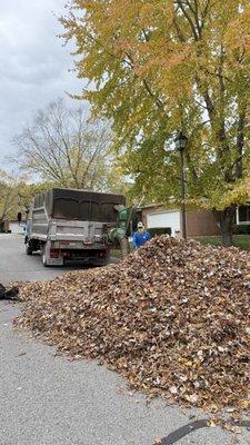 Tikal Lawn and Landscaping