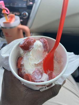 Bruster's Real Ice Cream