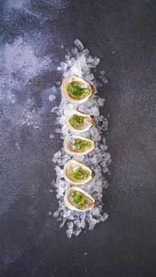 Shucked oysters