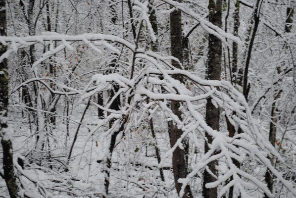 Don't forget to winterize your outside faucets