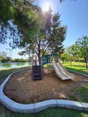 Dog training with Sawyer in Mesa, AZ.