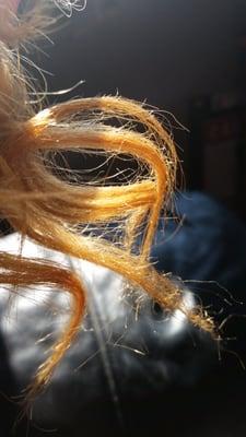 Tips are really dry so much split ends. When I was my hair my hair is falling out