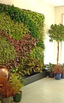 A greenwall installation