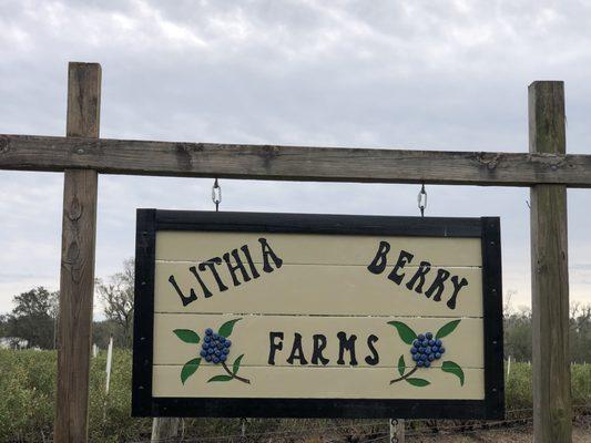 Lithia Berry Farms