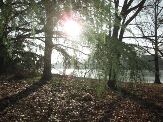 Evergreen Center for Balanced Living