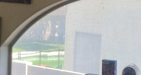 Backyard Kustom Pool