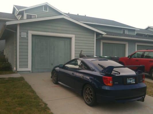 Turkey on a resident's car