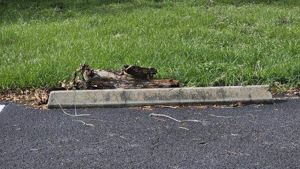 The Preserve Golf Club