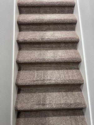 AA Carpet Cleaning