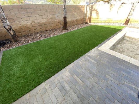 Green Ivy Maintenance