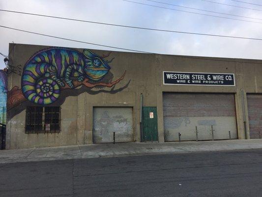 Western Steel & Wire