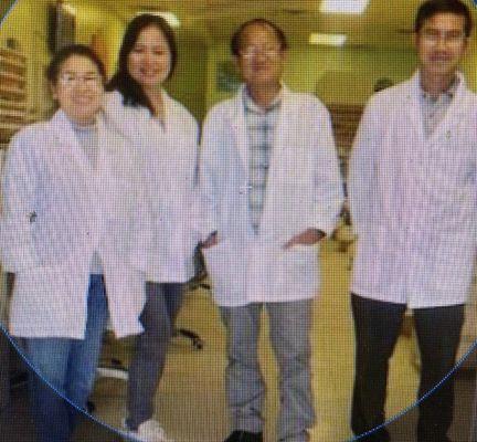 our teams professional