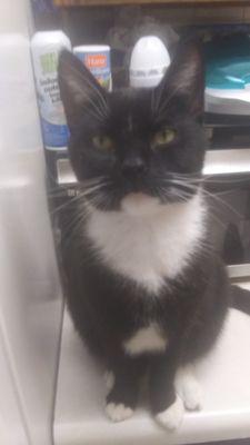 Meigs Veterinary Clinic