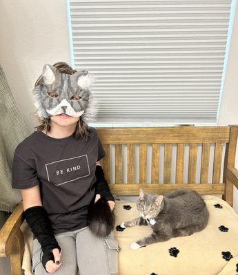 Gulfcoast Veterinary Oncology Internal Medicine