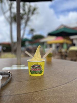 Hi5 Tours Hawaii