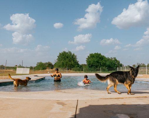 K9 Water World