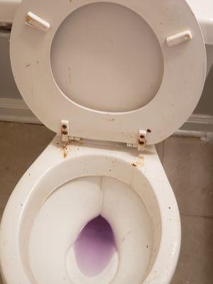 Khloe's Cleaning Services