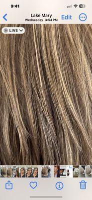 Marie's Hair Design at Salon Lofts in Heathrow