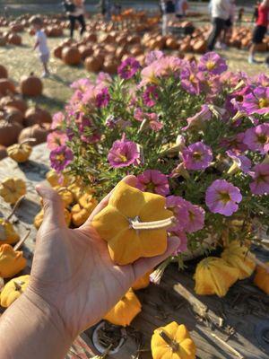 St James Episcopal Church