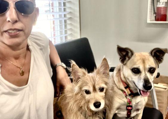 Easley Animal Hospital