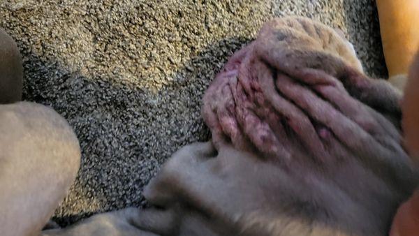 Paint Creek Veterinary Clinic