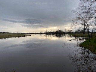 Pond Pros and Custom Concrete Services