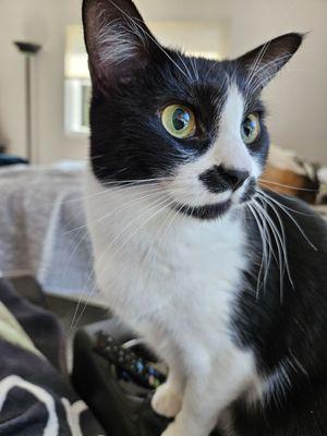 Before she was completely blind