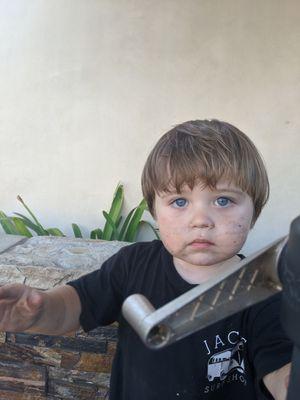 Frank Mattison Landscape