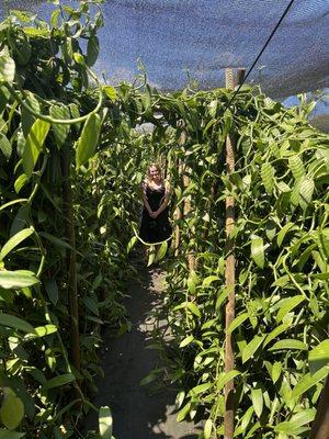 Laie Vanilla Company