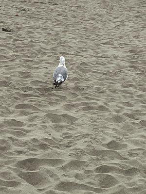 Manzanita Elementary School