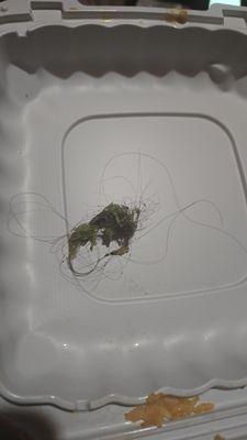 Hair in my taco.
