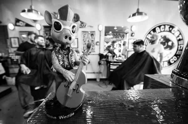 Black Cat Barber