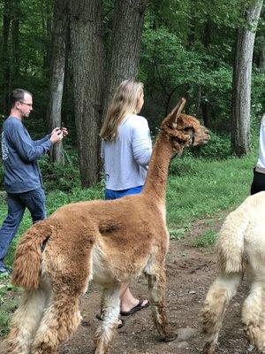 Aussakita Acres Farm
