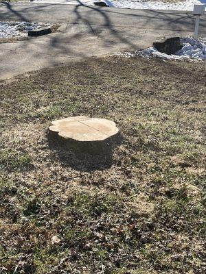 Full Circle Tree & Shrub