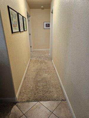 Allstar Carpet Cleaning