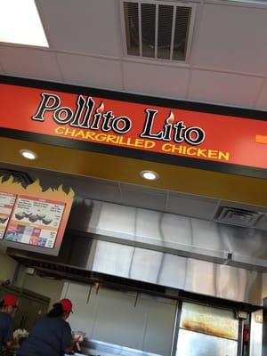 Pollito Lito