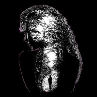 An Insightful Journey