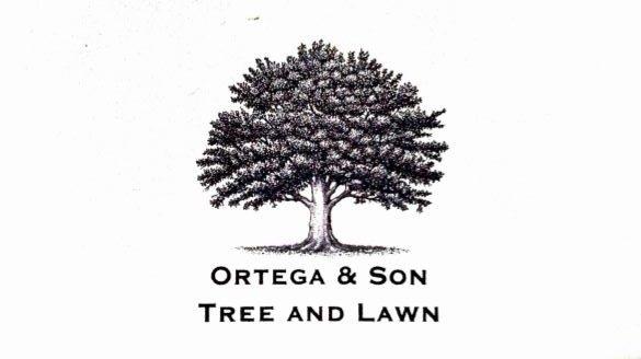 Ortega & Son