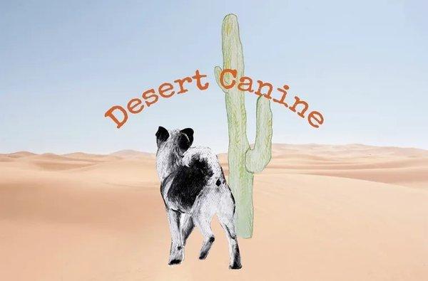 Desert Canine