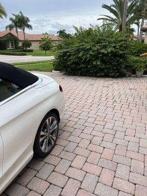 Yellowstone Landscape