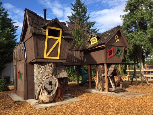 Carroll's Country Christmas Trees