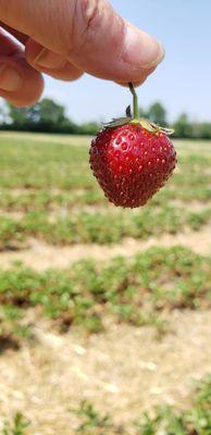 Waterman's Family Farm